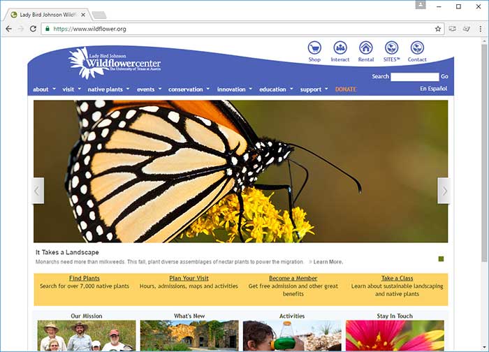 Resources For Native Texas Plants 2 lady bird johnson wildflower center