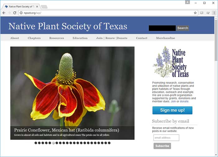 Resources For Native Texas Plants 1 native plant society of texas