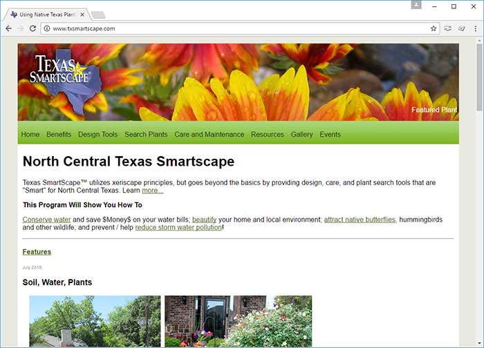 Resources For Native Texas Plants 3 north central texas smartscape