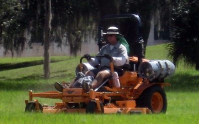 earthworks is going green(er)