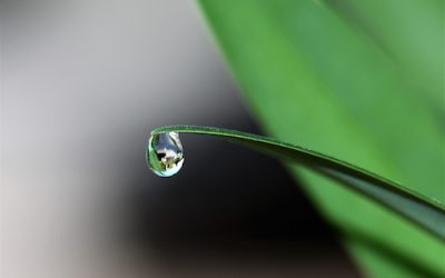 irrigation and water conservation for commercial properties