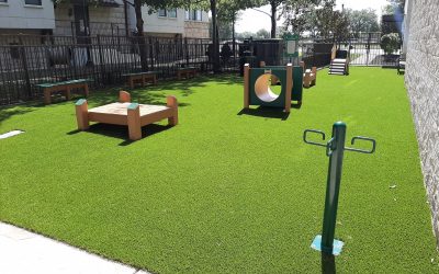 alara uptown dallas new dog park creates a sense of community among residents and their pets