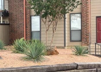 Let’s get ’em. Valley Creek Hits Back Against Yucca Plant Bugs and Preserves Their Xeriscaping