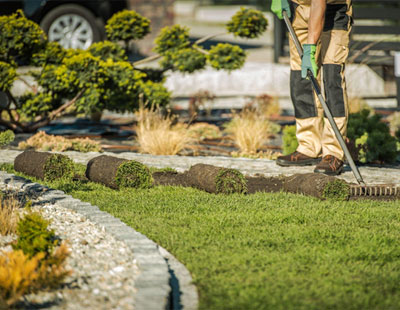 commercial landscaping services in carrollton tx