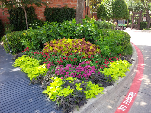 landscape design services in texas