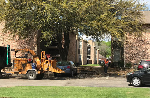 emergency tree service