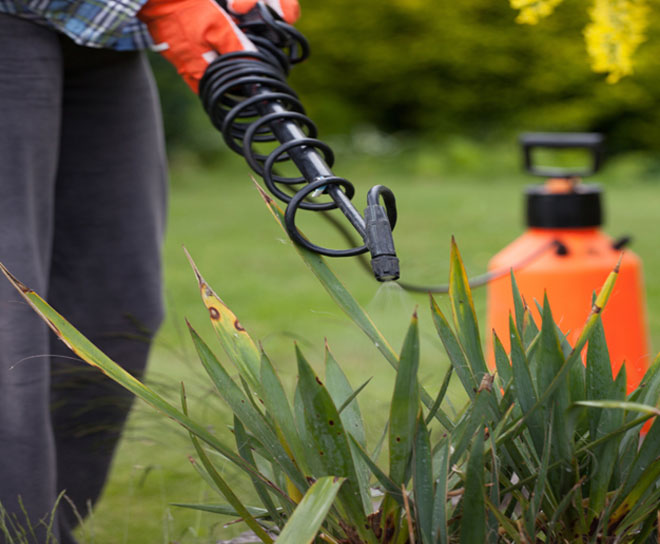 Pest/Weed Control 2 weed control