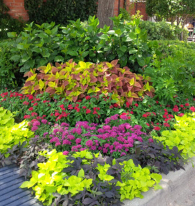 Looking For Landscaping Services in TX?