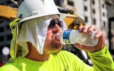 beat the heat: tips for staying safe and protecting your landscape