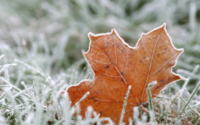 prepare, protect, prevail: rain and freeze sensors in action
