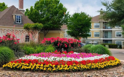 the top 5 secrets to creating award-winning commercial landscapes