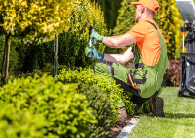 well maintained landscaping