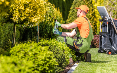 boosting property values with green investments