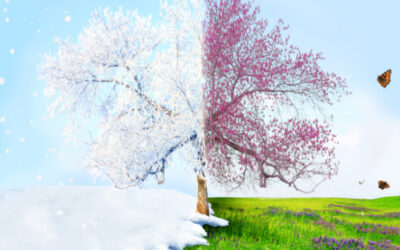 turning frosty landscapes into flourishing gardens
