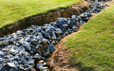 keeping commercial properties thriving this summer with proper drainage