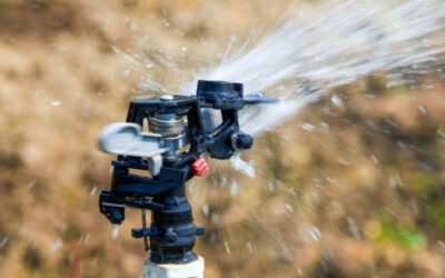 is your irrigation system summer ready?