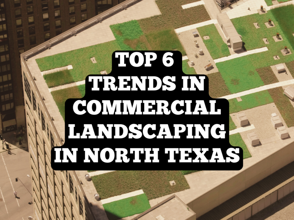 landscaping trends north texas