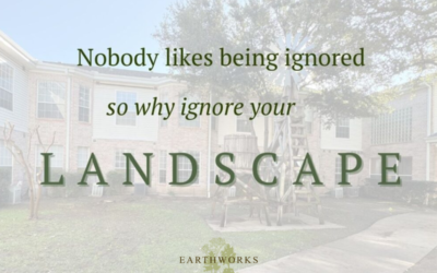 nobody likes being ignored so don’t ignore your landscape