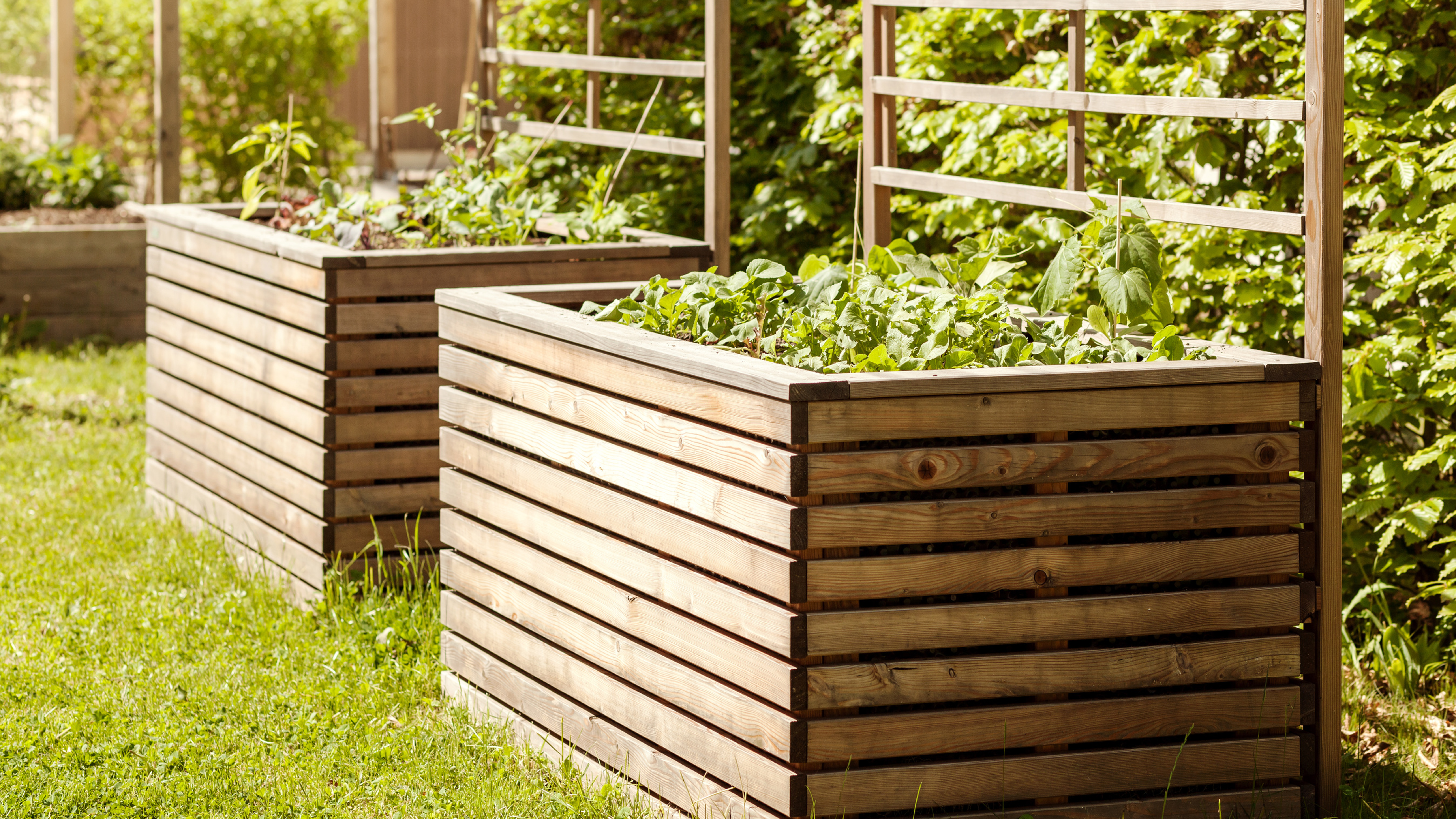 how to build a community garden for your apartment property (that residents actually use)
